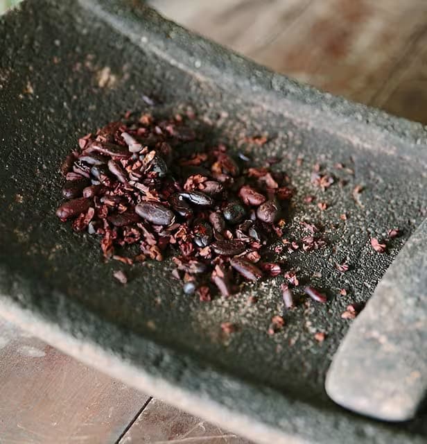 Mayan Chocolate Making and Jaguar Reserve Hike
