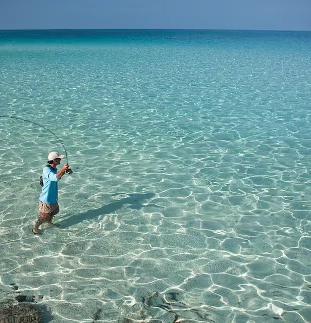  Inner Reef Fishing
